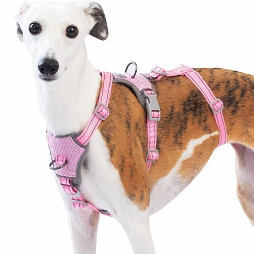 Huntboo Medium Rymningssäkert Hundsele, Anti-drag Reflekterande Hundsele, Säker 5-punktsväst för Små Djur, Lättviktig, Justerbar, för Stora Hundar vid Utomhusträning och Vandring (Rosa,L)