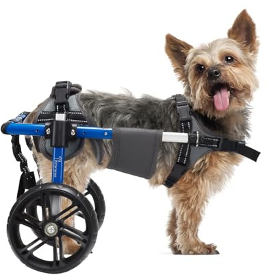 Virbraroo Dog Wheelchair for Back Legs with Upgraded All-Terrain Tires & Durable Bearings,Adjustable Dog Wheelchair for 9-13.7,11-22 lbs Disabled or Injured Small Dogs