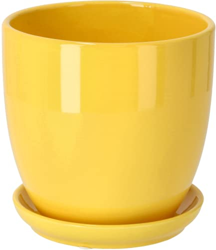 Kotarbau® - Vaso da fiori in ceramica per piante con vassoio antigoccia, diametro da 17 cm