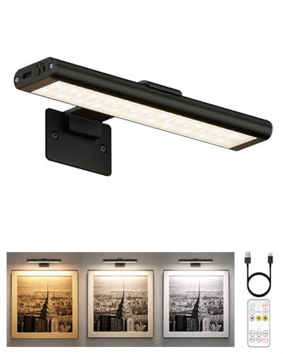 EZVALO Lampada da parete senza fili, ricaricabile, con telecomando a infrarossi, 3 colori e dimmerabile, illuminazione magnetica a LED per dipinti, soggiorno (nero, 1 pezzo)