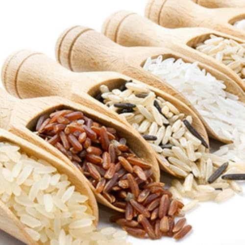 Lot de 10 mini cuillères en bois pour miel, café, condiment, sel, sucre
