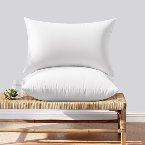 Woaboy Outdoor Kissen Wetterfest 30x50 cm Wasserfest Füllung Kissenfüllung Innenkissen Sofakissen 2er Set Kopfkissen Federkissen Zierkissen Füllkissen für Garten Couch Wohnzimmer Schlafzimmer Sofa