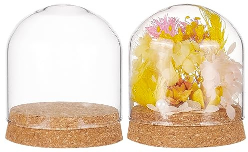 BENECREAT 2 Set Glaskuppel Mit Korksockel, 80x72mm Großes Tischglockenglas Für Blumenpflanzen, Proben, Basteldekorationen, Innendurchmesser: 76 mm