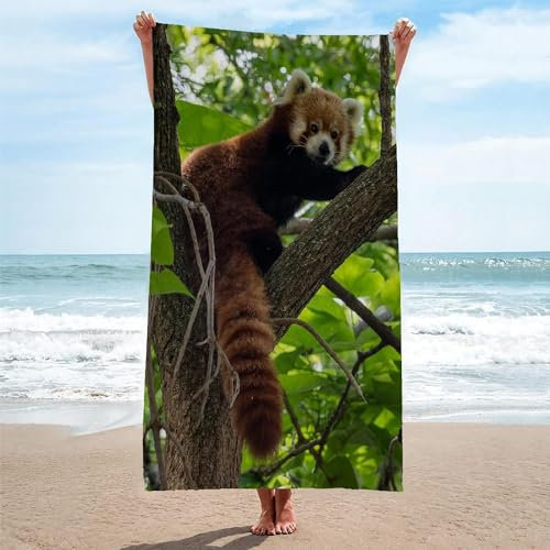 Latwerio Strandtuch Roter Panda, 3D Handtuch Roter Panda Badetücher, Absorbierendem Strandtuch Mikrofaser Weich Badetuch für Camping Fitnessstudio Reise Strandhandtuch 70x150 cm A710