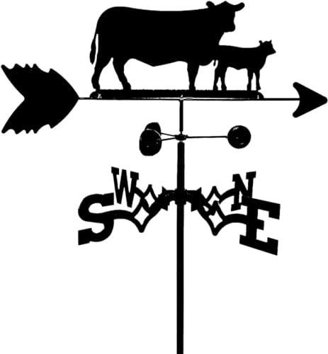 Familjevindflaggor, väderflagga, väderdekoration, gårdsdekoration, silhuett, takmontering, väderkranmätverktyg, vindriktningsindikatorer av rostfritt stål med M