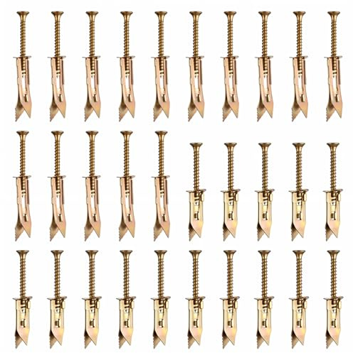 cobee Set med 60 stycken självborrande gipsskivor, 2 storlekar självborrande gipsskivor, ankare med skruvar, riggipspluggar, gipsväggpluggar, hålighetsplugg för gipsskivor för att hänga upp bilder