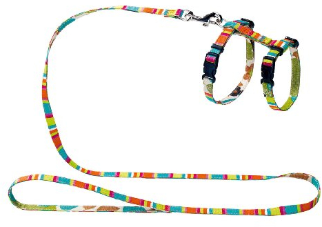 StripesNylon Geschirr und Leine für Welpen und Katzen, Mehrfarbig