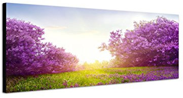 Augenblicke Wandbilder Keilrahmenbild Wandbild 150x50cm Wiese Sträucher Blumen Frühling Sonnenlicht