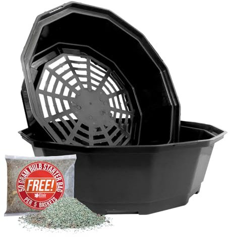 Elixir Gardens Green Plastic Bulb Planting Baskets | Quantities of 1-20 | Daffodils, Tulips, Crocus, Iris, Hyacinth & Snowdrop Easy Planters for Hanging Basket/Flowerbed | Black 26cm x 20