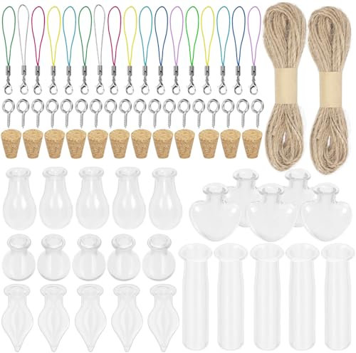 Swpeet Lot de 82 mini bouteilles en verre 5 formes avec bouchons en liège, vis à œillet, ficelle et fermoirs mousquetons, mini bocaux en verre avec bouchons en liège pour loisirs créatifs, décoration