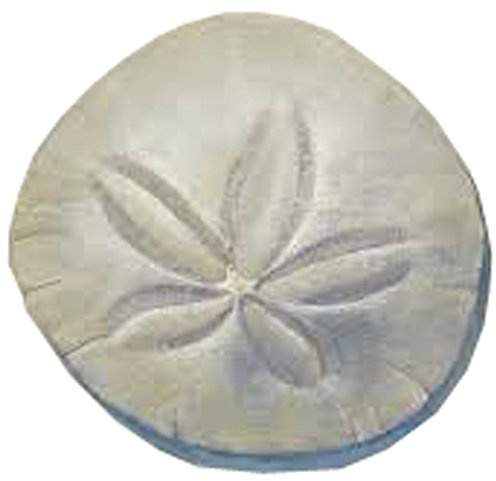 Miniature Sand Dollar Seashell for Decoration 9818