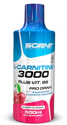 L Carnitina 3000 - L Carnitina Liquida 500 ml - Carnitina Liquida 3000 (1 bote de 500 ml) (Cereza)