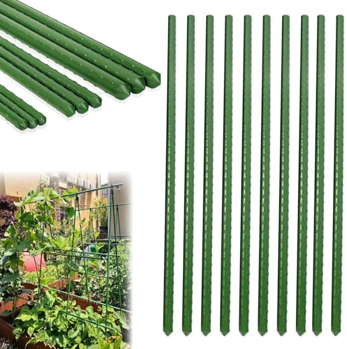 Rankstäbe 10er Set 75cm x 16mm Ø grün – Extra stabile Pflanzenstütze aus kunststoffbeschichtetem Stahl – Rankhilfe Pflanzenstab für Tomaten, Paprika und Blumen (60cm 8mm)