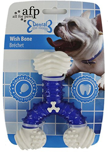 All for Paws Dental Wish Bone