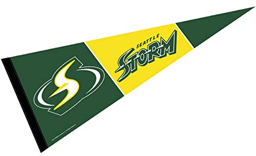 WinCraft Seattle Storm Pennant Banner Flag