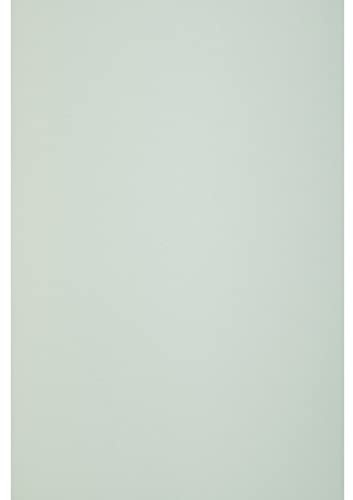 Netuno 50x Pastell Grün Natur Papier DIN A4 21 x 29,7 cm 120g Keaykolour Pastel Green Bastelpapier A4 Hellrosa hochwertige Qualität für Druckaufgaben Einladungs Karten Hochzeits