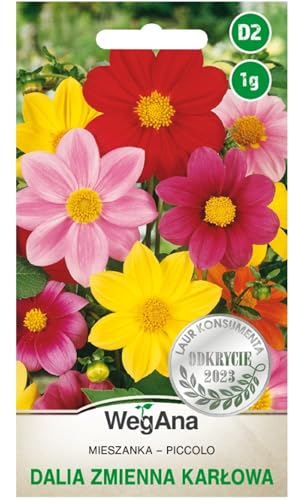 WegAna Piccolo mix di dalie nane semi 1g mix di piante con fiori, piante da giardino piante da balcone, pascolo per api, semi di fiori, semi di fiori