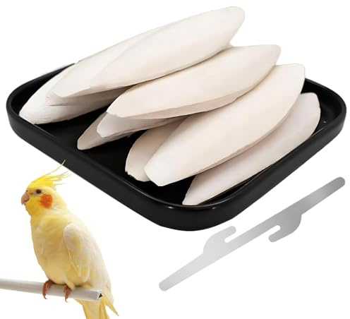 10 Stück 9-12 cm Sepiaschalen, Sepiaschalen Mit Halterung, Handgemachte Tintenfischschalen, für Vögel Reptilien Schildkröten Bartagamen und Schnecken Optimale Kalzium u Mineralversorgung