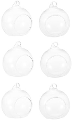 Alipis 6 pièces Vase Boule Verre Transparent Suspendu avec Base Plate Terrarium pour Succulentes Décoration Mariage et Intérieur DIY