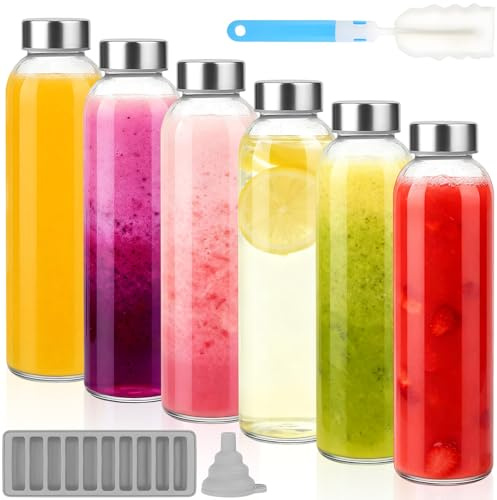 Dinhauyon 6 bouteilles de jus en verre, bouteille d'eau claire de 500 ml, pot à jus étanche avec couvercle hermétique en acier inoxydable, brosse de nettoyage, entonnoir et plateau à glaces