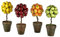 Pack de 4 árboles frutales 14 x 30 cm