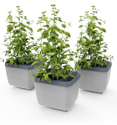 GUSTA GARDEN Herbs Buddy - Selbstbewässerungstopf & Kräutertopf für Küche & Fensterbank, Ideal für Basilikum, Wassertank, Wasserstandsanzeige