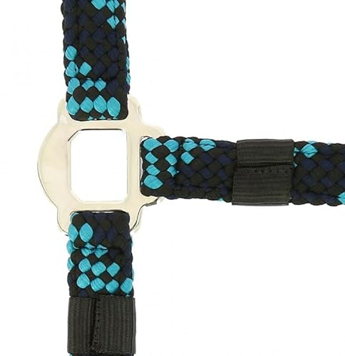 NORTON „Tressé“ Halfter und Führstrick, Warmblut, türkis/marineblau/schwarz