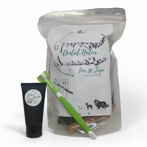 OGF® DentalBOX für Hunde – Komplettes Zahnpflege-Set: DREI-Kopf-Zahnbürste, Silikon-Fingerhülse, Natürliche Zahnpasta mit Kelp, Zahnstein-Entfernungsspray, Dentale Snacks & Zahnreinigungsspielzeug
