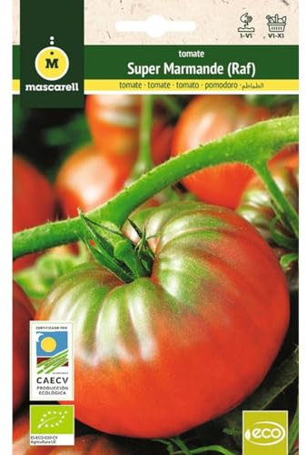 Mascarell Semillas, TOMATE MARMANDE (Tipo RAF), Semillas Ecológicas, 0,5 Gramos