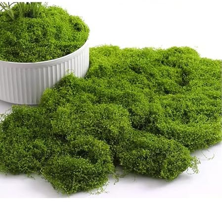 LilaLemon 30g Light Green Fake Faux Moss, Artificial Decorative Moss for Easter Decoration, Fake Green Lichen Plants for Lawn Aquarium Landscaping
