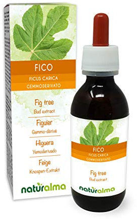 Higuera (Ficus carica) Yemoderivato sin alcohol de yemas frescas - Extracto líquido gotas 120 ml - Complemento alimenticio - Vegano