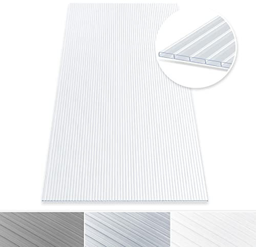Pannello alveolare, piastre doppie in policarbonato, pannelli a camera cava per giardino, serra e modellismo, 60,5 x 121 cm (spessore: 16 mm, trasparente)