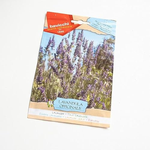 Bavicchi buste semi orto plus (Lavanda)