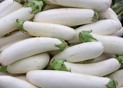 Graines d'aubergine blanche Casper Graines de plantes potagères de jardin d'aubergines françaises Heirloom Paquet de 100 graines