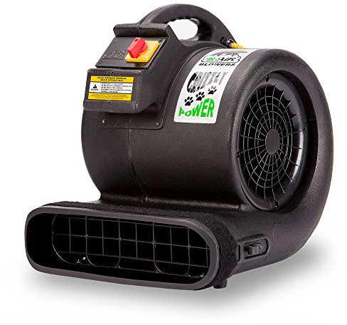 B-Air Grizzly Gp-1 1 HP 3550 CFM Air Grizzly Mover Carpet Dryer Floor Fan for Water Damage Restoration Equipment & Pet Cage Dryer Black