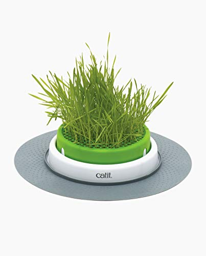 Catit Grass Planter, Katzengras, Katzengrastopf mit Abdeckgitter, 1 Stück (1er Pack)