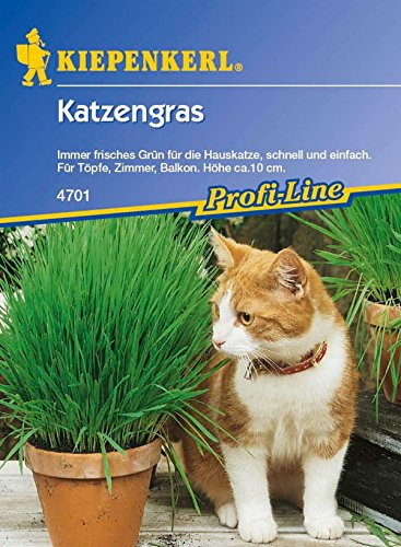 Kiepenkerl, Katzengras
