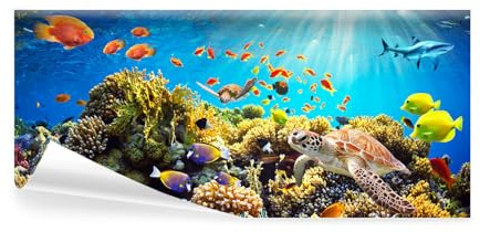 decomonkey Fototapete selbstklebend Unterwasser, 539x250 cm, Eckfototapete | Aquarium, Meer, Natur, Fisch, Tiere, Korallen, Sonne, Blau, Bunt, Selbstklebende, Tapeten, Wand, Tapete, Wandtapete, klebend