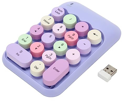 Pavé Numérique USB, pavé Numérique Mécanique pour Ordinateur Portable, 18 Touches Rétro Couleur pour Machine à écrire, Clavier à Capuchon Rond pour XP, (Thème Violet)