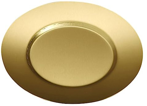 ABOOFAN Essensteller Edelstahlscheibe Flache Edelstahl servier pizzateller menüteller flachteller antipasti teller Vintage-Teller Gericht Lebensmittel Dessertteller Rostfreier Stahl