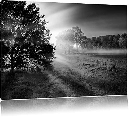 Pixxprint schöne Lichtung im Wald B&W, Größe: 100x70cm, Leinwandbild, fertig gespannt, Wandbild, Dekoration, Kunstdruck, kein Poster