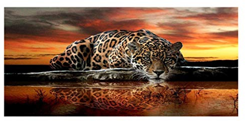 DCIDBEI DIY 5D Diamant Gemälde Malen nach Zahlen Erwachsene Diamant Gemälde Diamond Painting Kunst Leoparden Strass-Stickerei Kreuzstich Kunst für Home Office Hotel Salon Wand Decor 45 x 90 cm