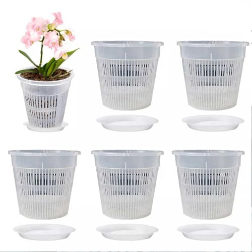 WIIYENA Lot de 5 pots à orchidée transparents - 16 x 14 cm, 19 x 16 cm - Avec soucoupes - En plastique transparent - Avec trous - 16 cm