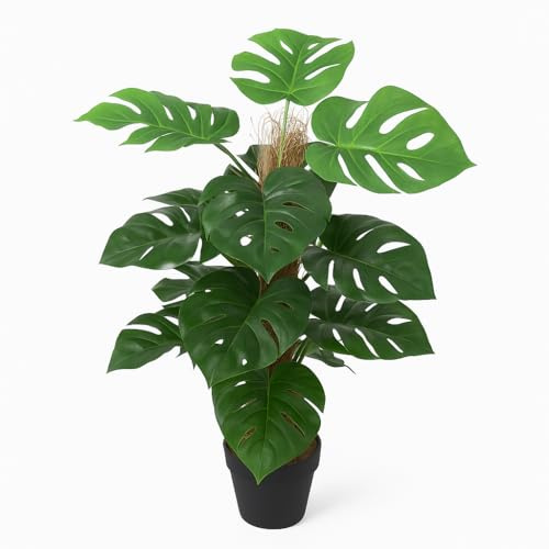 Künstliche Monstera mit Topf ca. 60 cm hoch Kunstpflanzen künstliche Pflanze Kunstblumen wie echt JWSL049