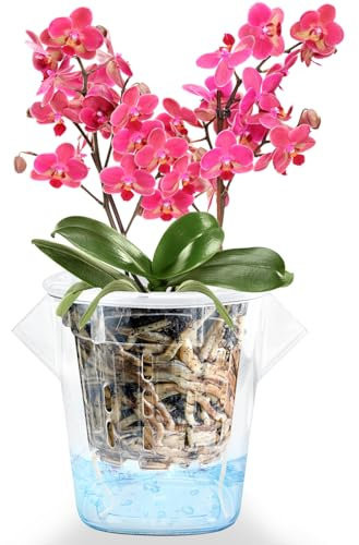 lehorra Macetas de orquídeas con agujeros para trasplantar, maceta de plástico de doble capa, proporciona una buena circulación de aire, maceta decorativa transparente para orquídeas