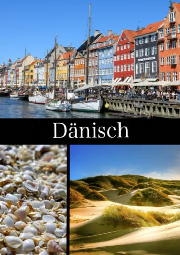 Dänisch: Vokabelheft Dänisch, DIN A4, 2 Spalten