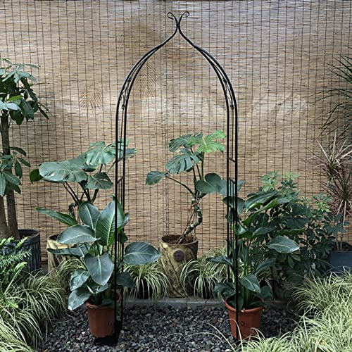 ZYFA Rosenbogen aus Metall Gartenbogen Torbogen Garten Rosengestell Gartentor Rankhilfe Rosenhilfe witterungsbeständig Rankbogen Rankgitter Rosen für Kletterpflanzen, Rosen Pflanzen zur Unterstützung