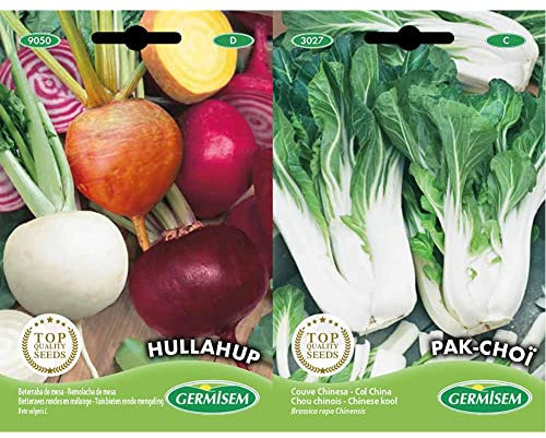 Germisem Hullahup Color Mezcla Semillas de Remolacha 5 g & Pak Choï Semillas de Col Chino 3 g (EC3027)