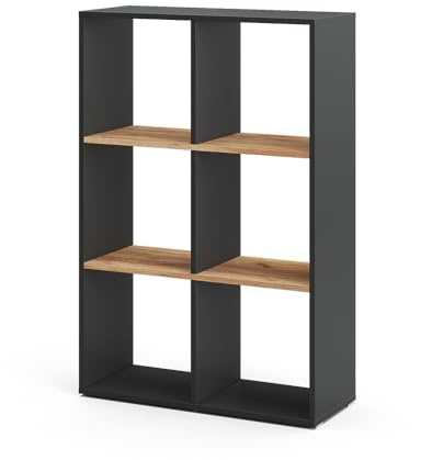 Vicco Raumteiler Karree, Anthrazit/Goldkraft Eiche, 72 x 107.8 cm | geeignet zur Aufbewahrung und Trennung von Wohnbereichen