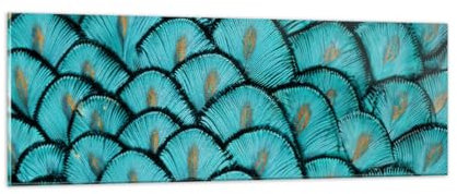 Panorama Bilder auf Glas Gefieder Tiere Pfau Glasbild 90x30cm Wandbilder Dekoration Wohnzimmer Schlafzimmer Küche Klein Wanddeko Bild im Glas Wand Kunstdruck Art Modern Wall Decor GAB90x30-5211